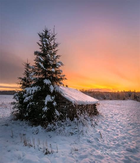 🇫🇮 Aamuruskon Aikaan Finland By Asko Kuittinen Winter Landscape