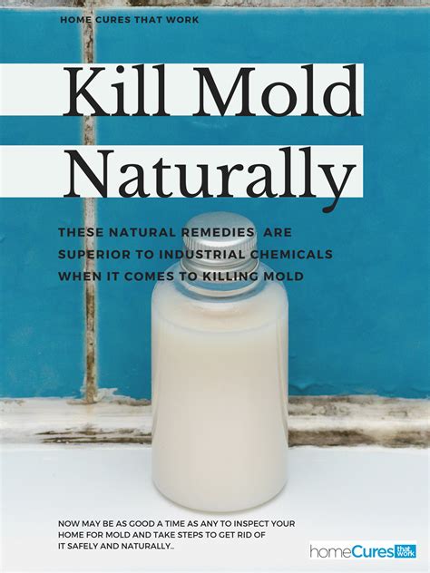 After the ceiling has dried, prime the bathroom ceiling with a stain killing primer and apply a mildew resistant top coat to prevent mold growth. Whether you have black mold in your shower or basement, on ...