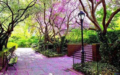 Free Best Pictures Beautiful Spring Park 1920x1200 Widescreen Wallpapers