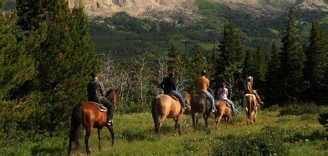 Horseback Riding In Glacier Swan Mountain Outfitters In Gnp Starts