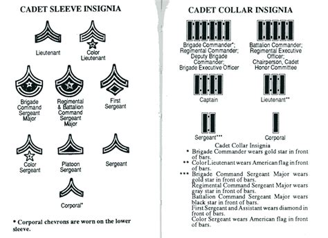 Fileusma Cadet Rank 2