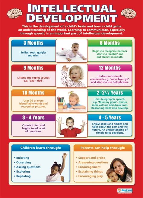 Intellectual Development Child Development Posters Gloss Paper