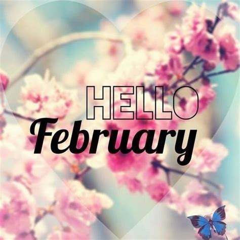 The Words Hello February Written On A Heart Shaped Background With