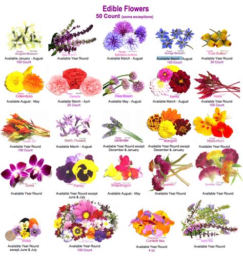 Please note for many of these we are a local florist based in dunstable in bedfordshire. EDIBLE FLOWERS - FLORES COMESTIBLES - http://www.mayesh ...