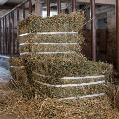 Compressed Hay Bale Double J Farms