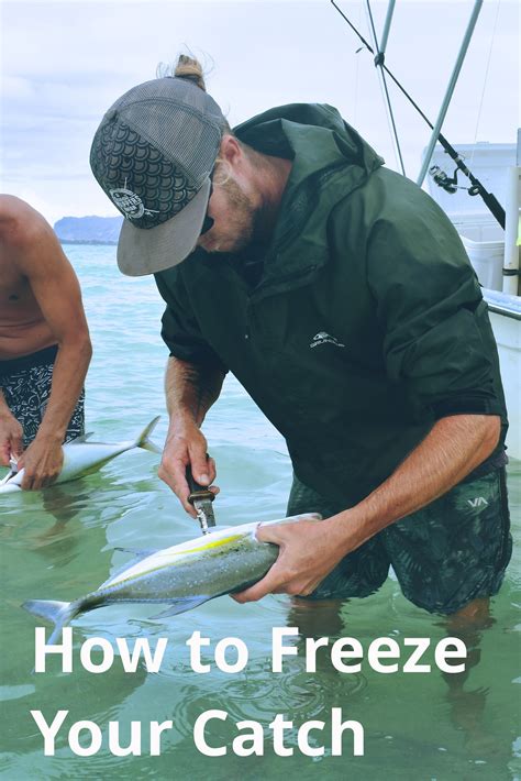 How To Freeze Fresh Caught Fish With Dry Ice Dry Ice Frozen Fresh