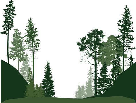 Euclidean Vector Tree Forest Trees Hd Image Free Png Forest Landscape