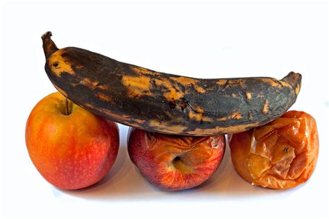 Rotten Fruit Photograph By Ken Biggs Pixels