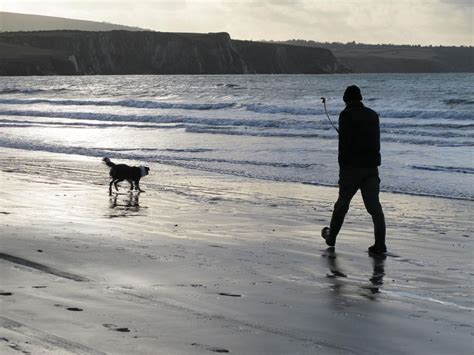 Dog walk, beach, Cwm Connell Coastal Cottages, luxury cottages in Wales | Luxury dog, Cottages ...