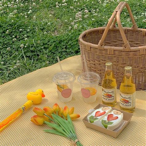 Pink Lilies Picnic Picnic Date Picnic Inspiration