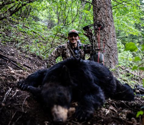 Articles Tagged Bear Hunting Idaho Elkshape