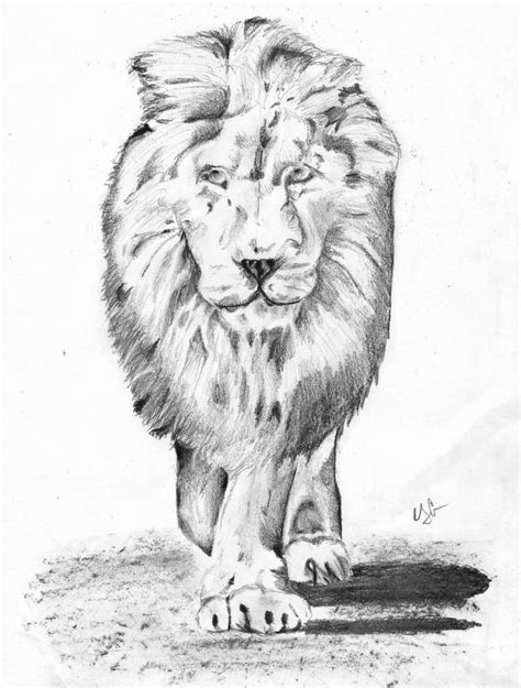 Lion Pencil By Basicallyasheep On Deviantart
