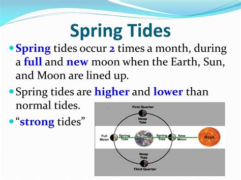 Ppt Tides Powerpoint Presentation Free Download Id2426276