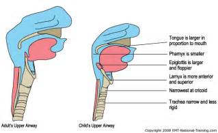 Paediatric Emergency Medicine The Airway In Children