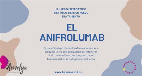 Anifrolumab Como Tratamiento Para El Lupus