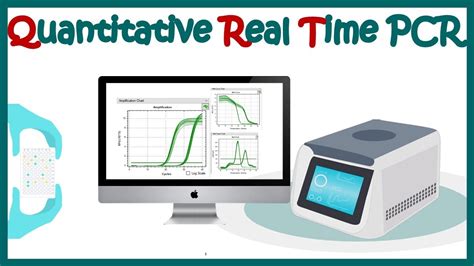 Quantitative Real Time Pcr Qpcr Youtube