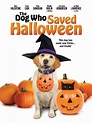 The Dog Who Saved Halloween (TV Movie 2011) - IMDb