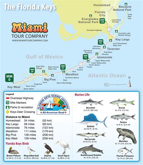 Map Of Florida Keys Resorts Free Printable Maps Riset
