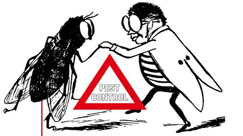 If you decided to take on your own pest problems, this will help to cons many of us like to think we're professionals at everything we do, but the truth is, we aren't. Is There a Difference between DYI Pest Control and Pest Professionals?