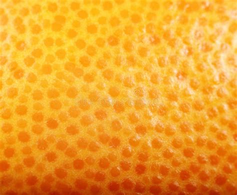 Peau Dorange Photo Stock Image Du Detail Citron Fruit 17654528