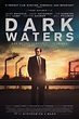 Dark Waters (2019) - Posters — The Movie Database (TMDB)