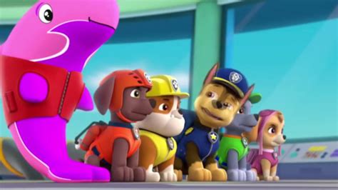 Paw Patrol New Pup Clip 1 Youtube