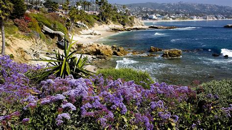 Wallpaper Landscape Sea Flowers Rock Nature Shore Coast Flower