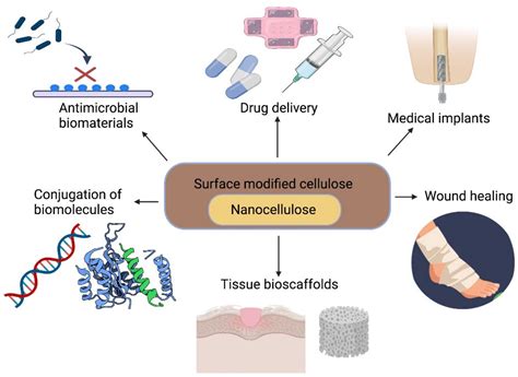 Polymers Free Full Text Nature Based Biomaterials And Their