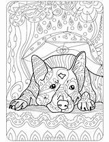 Coloring Hound Bloodhound Basset Getcolorings Getdrawings sketch template