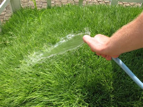Fall watering helps your lawn recover from summer stress and gain strength for the winter ahead. 7 Tips for Green, Lush Grass - Better HouseKeeper