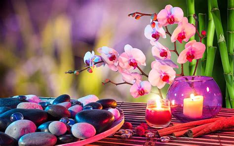 Orchids Candle Stones Medidation Relaxing Orchid And Bamboo Hd