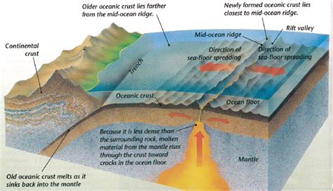 Sea Floor Spreading From Continental Drift To The Theory Of Plate