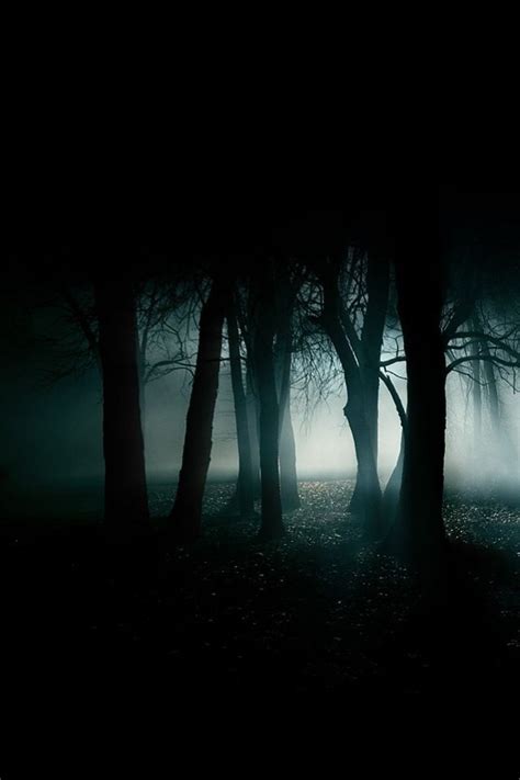 Creepy Dark Places Dark Photography Enchanted Forest Magical Forest