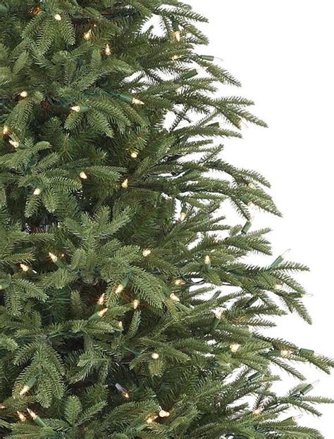 Christmas Tree Branch Sample Kit Balsam Hill
