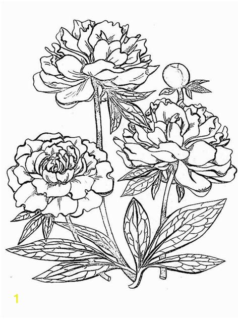 Enchanting coloring pages for adults with incredibly detailed drawings will like nature lovers. Realistic Flower Coloring Pages | divyajanani.org