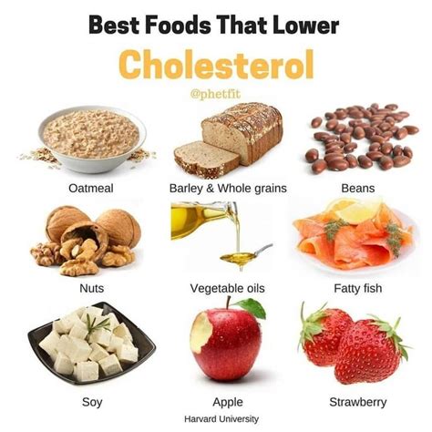 Daily Nutritional Facts © On Instagram Best Foods That Lower