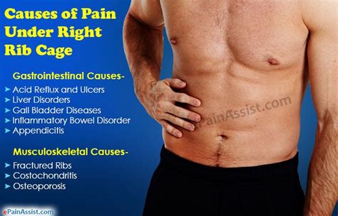 The most common cause of rib pain is a pulled muscle or fractured rib. Pin auf Healthy Bodies, Healthy Minds