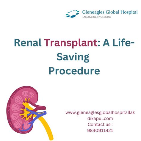 Renal Transplant A Life Saving Procedure By Gleneagles Hospital On