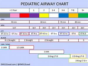  Airway Size Chart