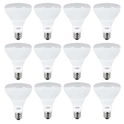 Feit Electric 65w Equivalent Soft White Br30 Dimmable Led Light Bulb