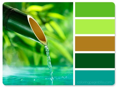 Nature Inspired Color Palettes