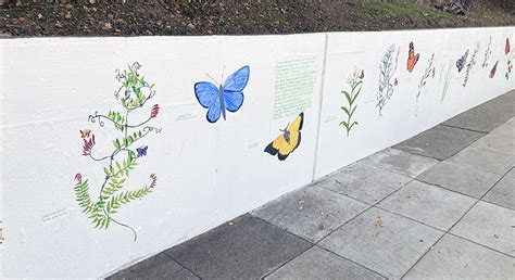 Butterflies Of Albany Hill Mural Project Essig Museum Of Entomology