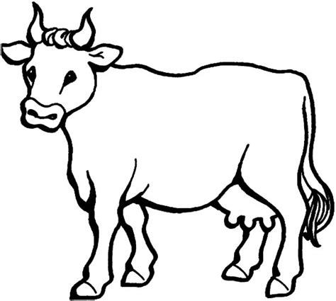 Cows Coloring Pages For Kids Kids Play Color