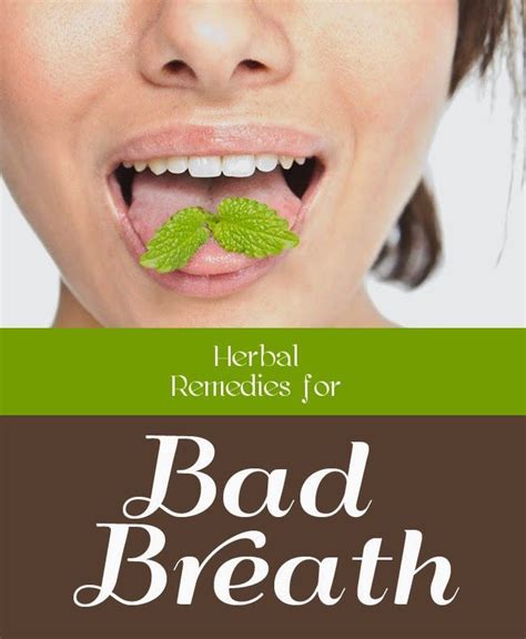 herbal remedies for bad breath bad breath remedy bad breath cure