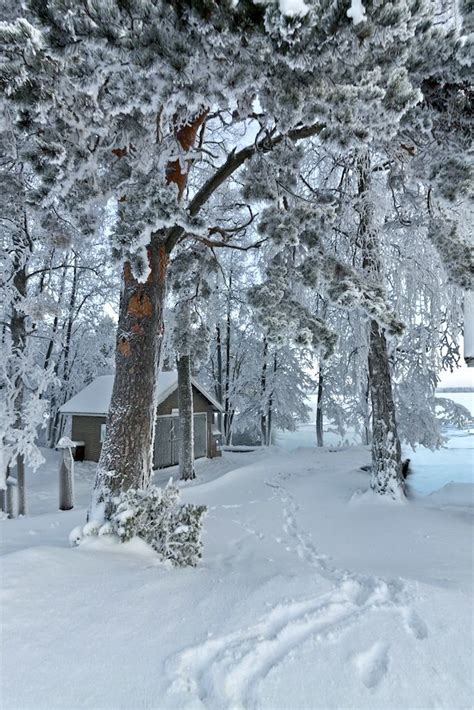 Top 50 Ideas About Snow Scenes On Pinterest Winter