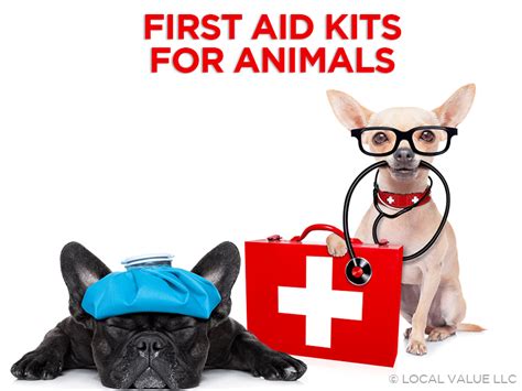 First Aid Kits For Animals Russell Creek Pet Clinic And Hospital