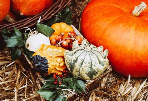 A Rustic Autumn Still Life With Pumpkins Stock Image Image Of