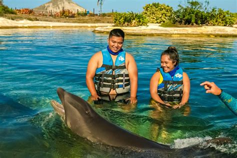 Dolphin Encounter Program Hawaii Dolphin Tours To Adventure Island