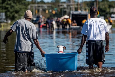 11 Ways To Help Those Affected By Natural Disasters