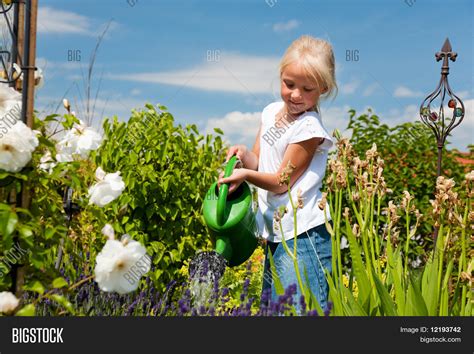 Niña Regando Las Flores En El Jardín De La Familia En Un Día De Verano